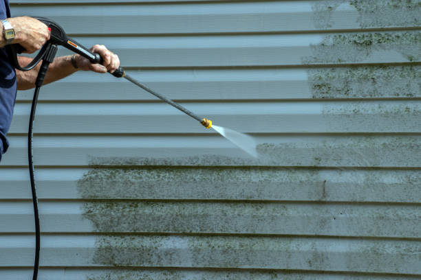 Pressure Washing Estimates in Louise, TX